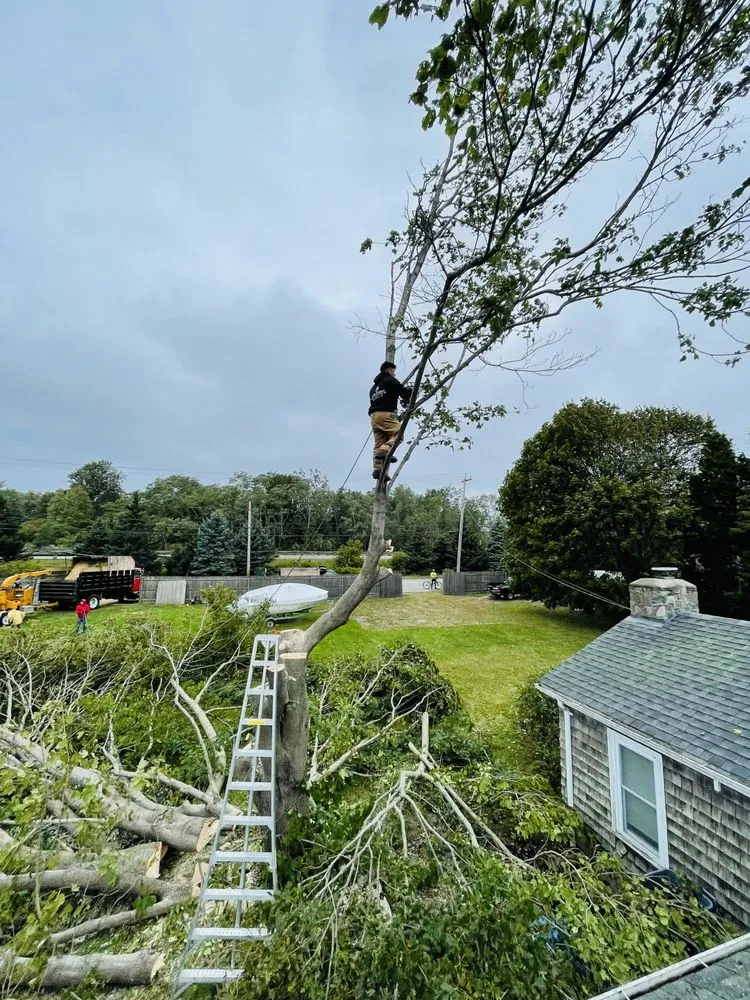 Top-rated lawn care service in Lynn, MA by Walter's Service & Maintenance Landscaping