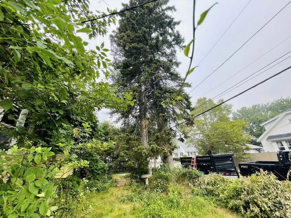 Custom garden landscaping experts serving Lynn, MA - Walter's Service & Maintenance Landscaping