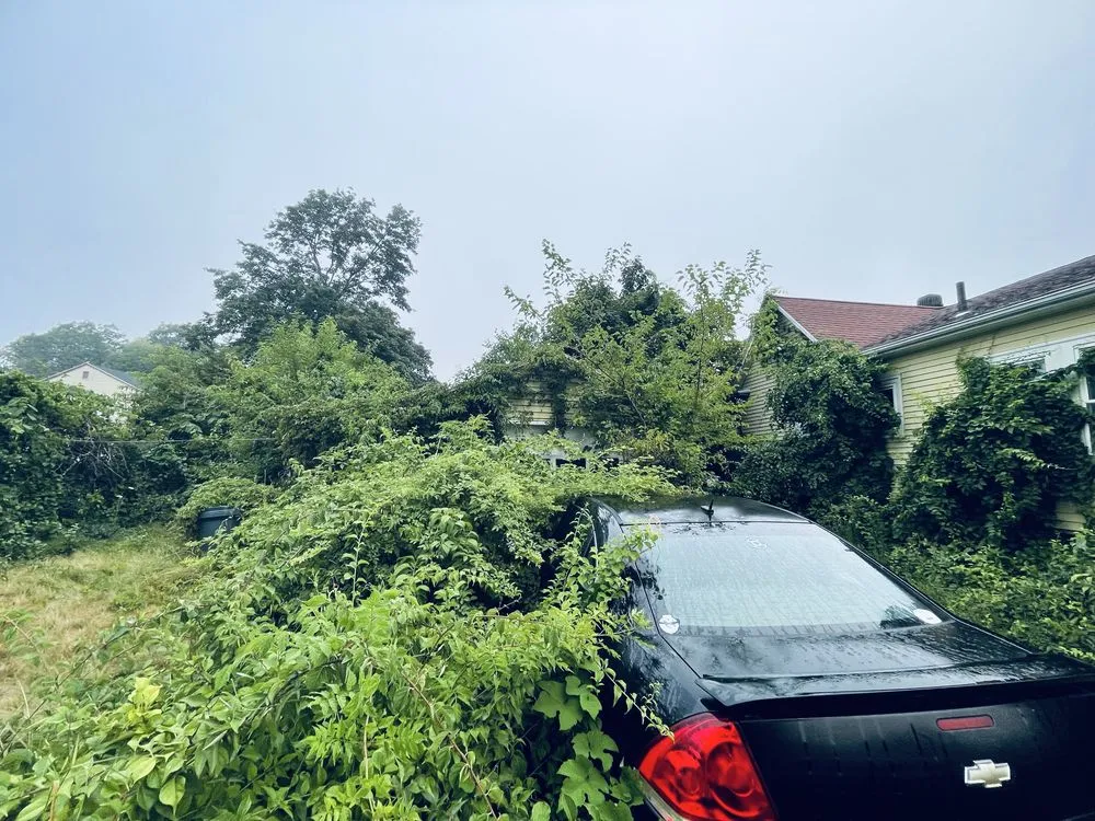 Local lawn care service in Lynn, MA - Walter's Service & Maintenance Landscaping