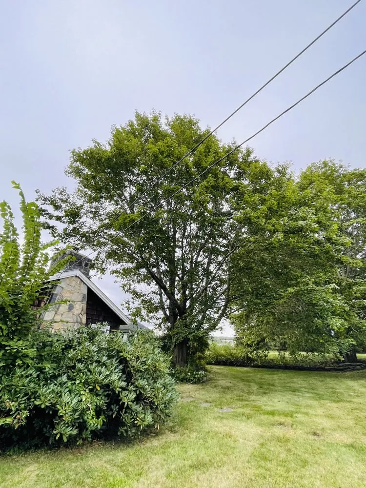 Reliable landscape design for homes in Lynn, MA by Walter's Service & Maintenance Landscaping