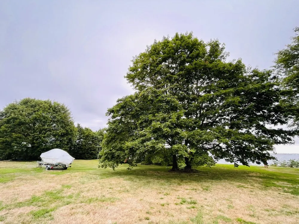 Local landscape design experts serving Lynn, MA - Walter's Service & Maintenance Landscaping