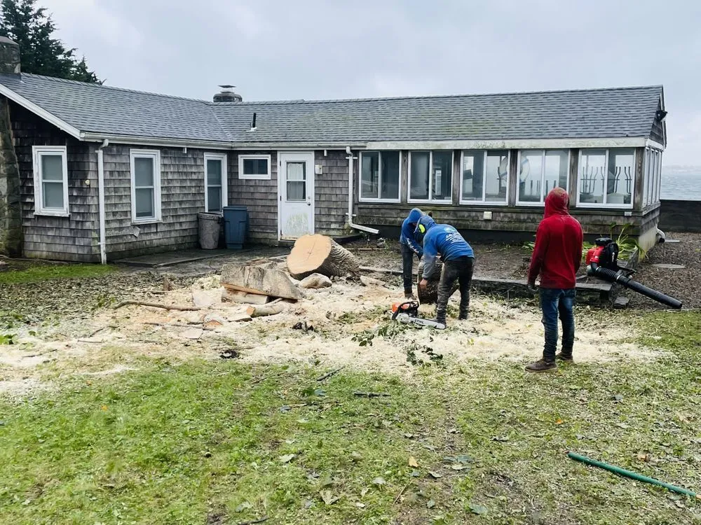 Affordable outdoor landscaping in Lynn, MA - Walter's Service & Maintenance Landscaping