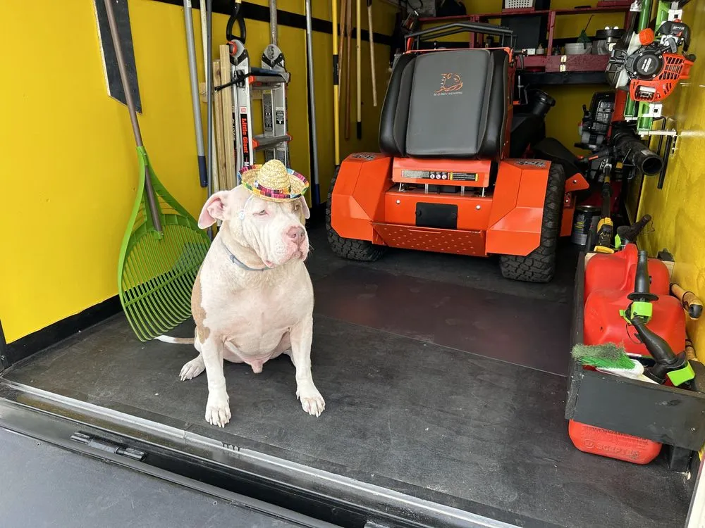 Custom lawn mowing service near you across Haines City, FL - Walters Southern Lawn Care