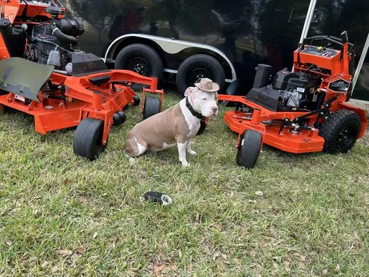 Walters Southern Lawn Care Logo