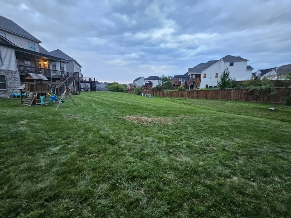 Local outdoor landscaping in Richmond, KY - Walters Tree Removal And Landscaping Services