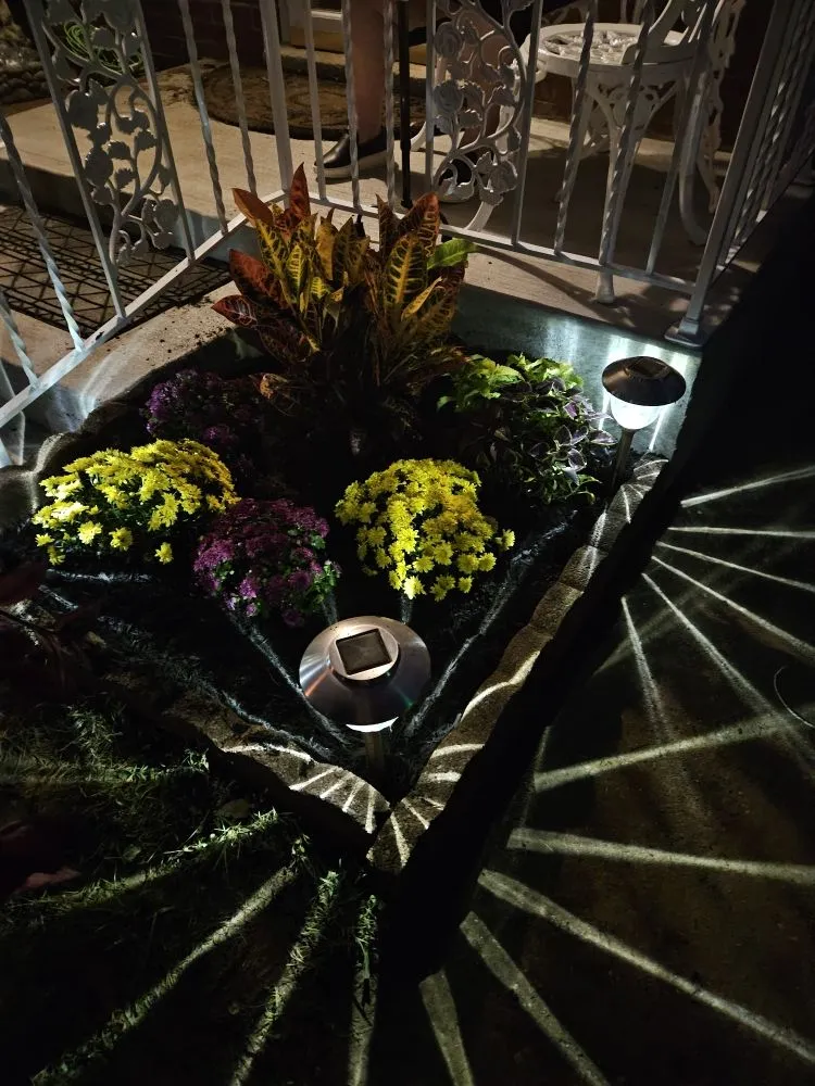 Custom lawn care service in Richmond, KY - Walters Tree Removal And Landscaping Services