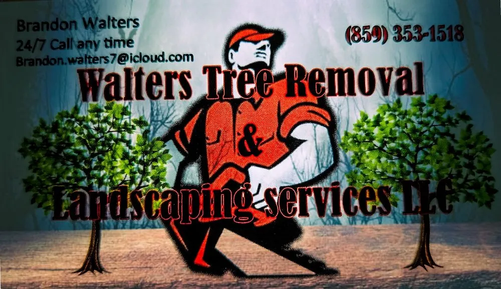 Expert landscaping services in Richmond, KY - Walters Tree Removal And Landscaping Services
