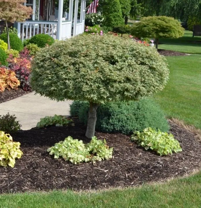 Local residential landscaping for beautiful yards in Waltham, MA by Waltham Landscapers