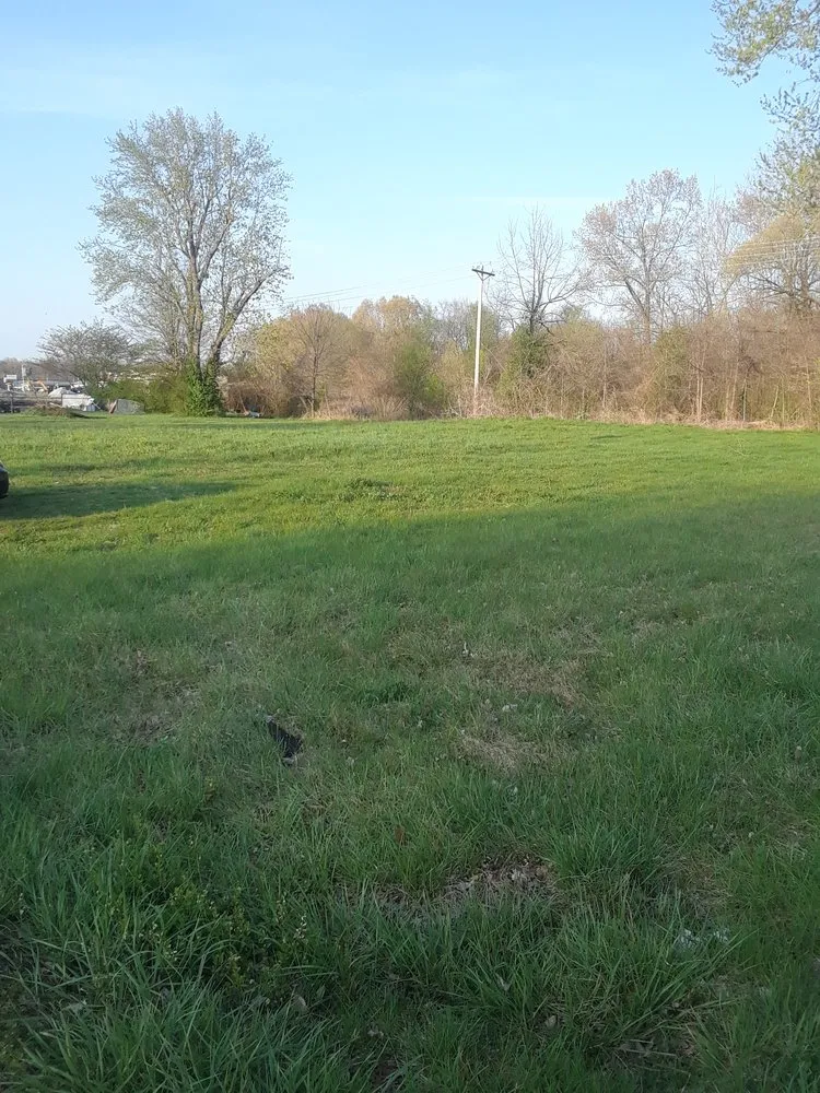Local garden landscaping experts serving Gilbertsville, KY - Walton Strong Outdoor Services and More
