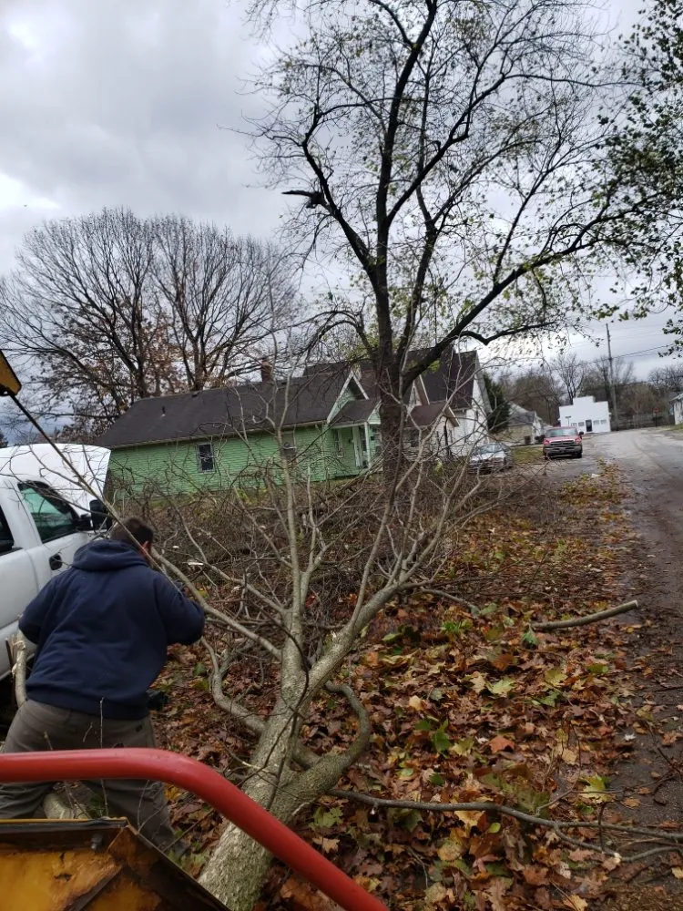 Local yard maintenance in Indianapolis, IN - Walt's Affordable Tree Care