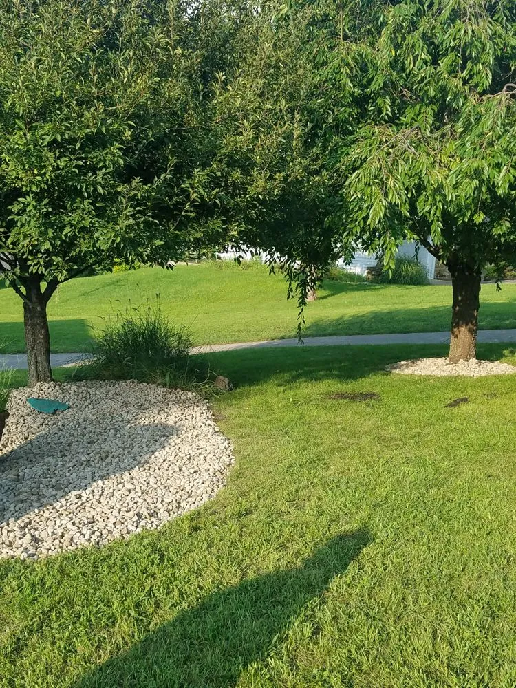 Expert yard cleanup service in Indianapolis, IN by Walt's Affordable Tree Care