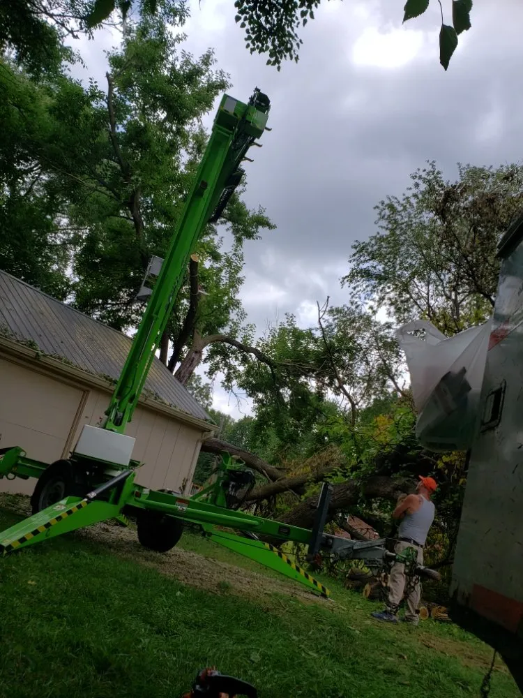Local landscape installation in Indianapolis, IN - Walt's Affordable Tree Care