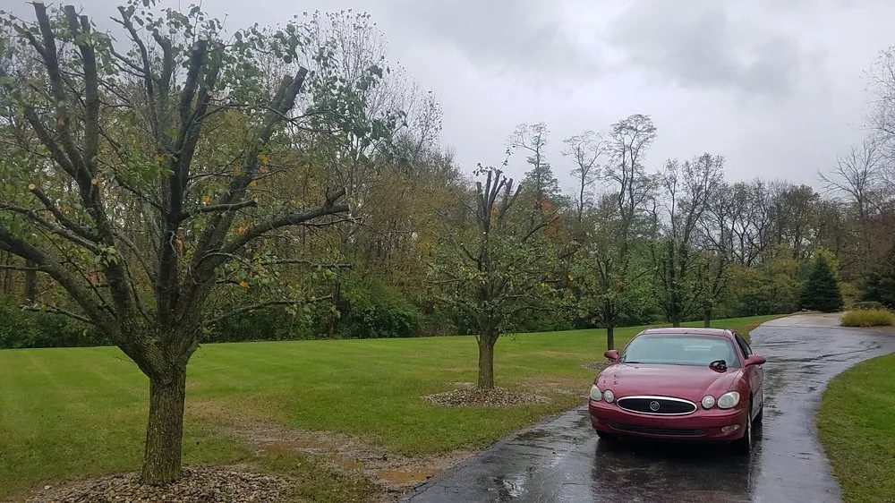 Professional landscaping services experts serving Indianapolis, IN - Walt's Affordable Tree Care