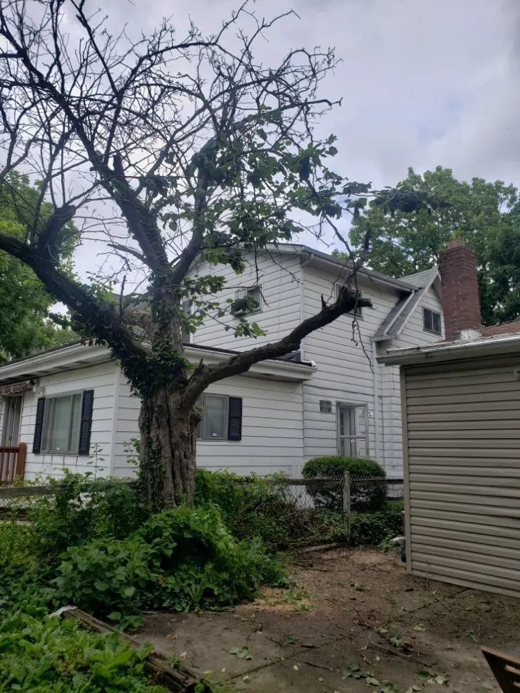 Expert lawn mowing service with custom design in Indianapolis, IN by Walt's Affordable Tree Care