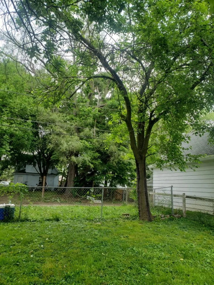 Trusted landscaping services experts serving Indianapolis, IN - Walt's Affordable Tree Care