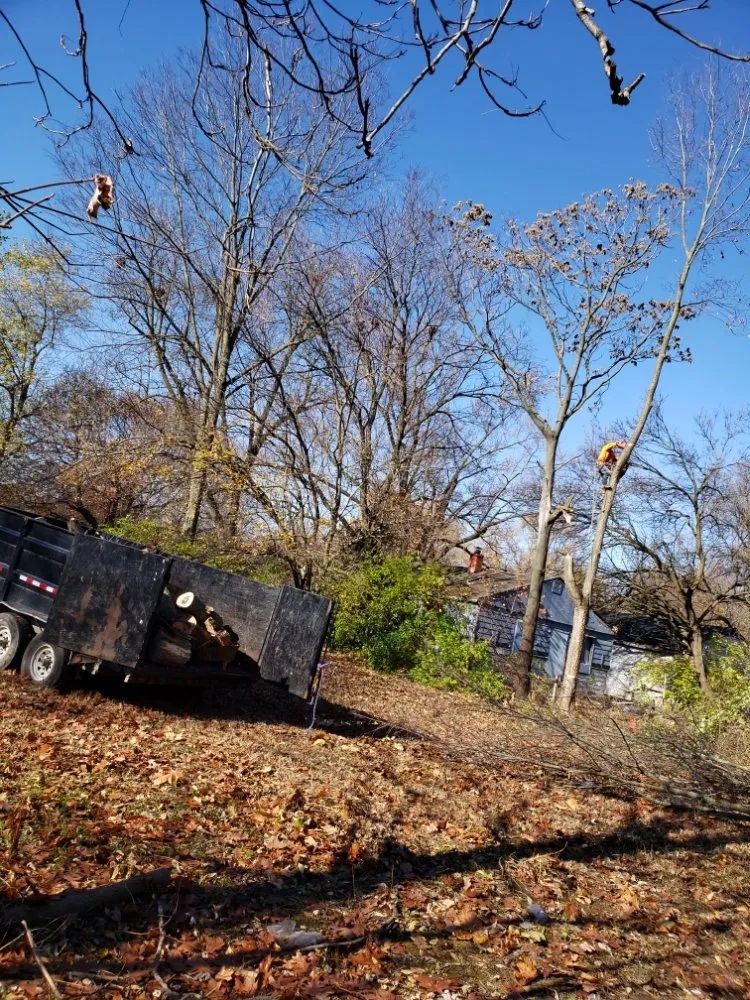 Professional garden landscaping for residential properties in Indianapolis, IN by Walt's Affordable Tree Care