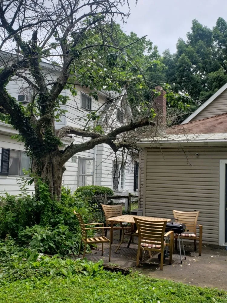 Top-rated residential landscaping in Indianapolis, IN - Walt's Affordable Tree Care