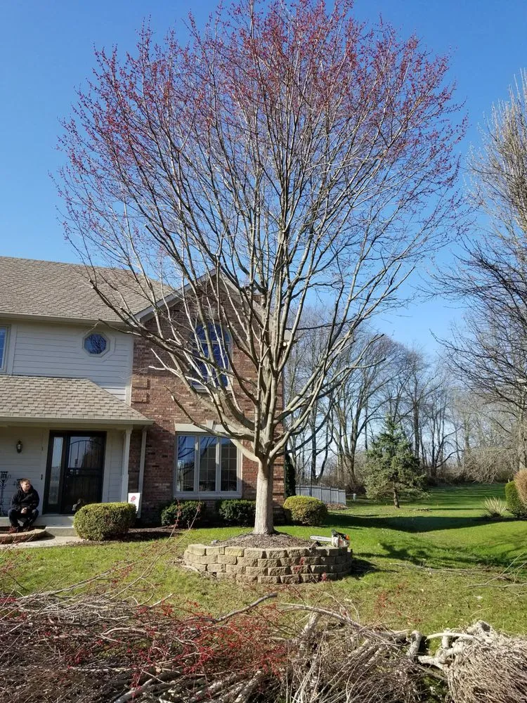 Professional residential landscaping experts serving Indianapolis, IN - Walt's Affordable Tree Care