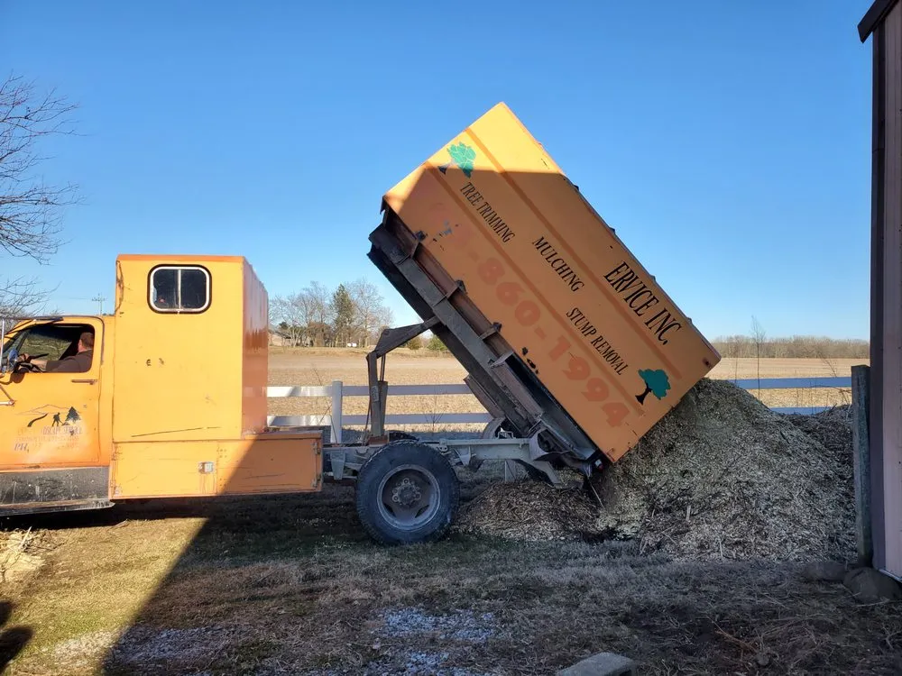 Expert landscape installation for outdoor upgrades across Indianapolis, IN - Walt's Affordable Tree Care