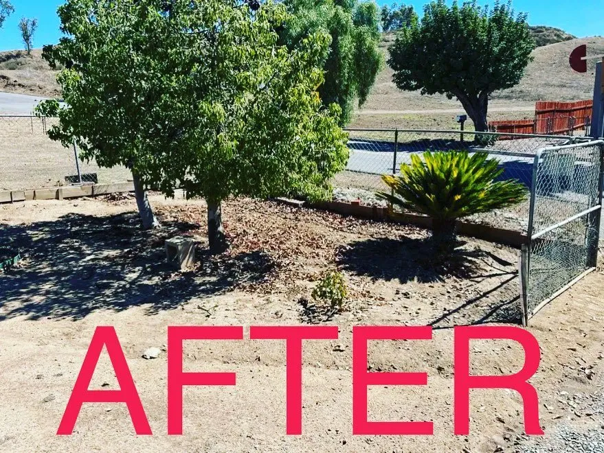 Local lawn care service for homes across Lake Elsinore, CA - Walt’s Disposal Service