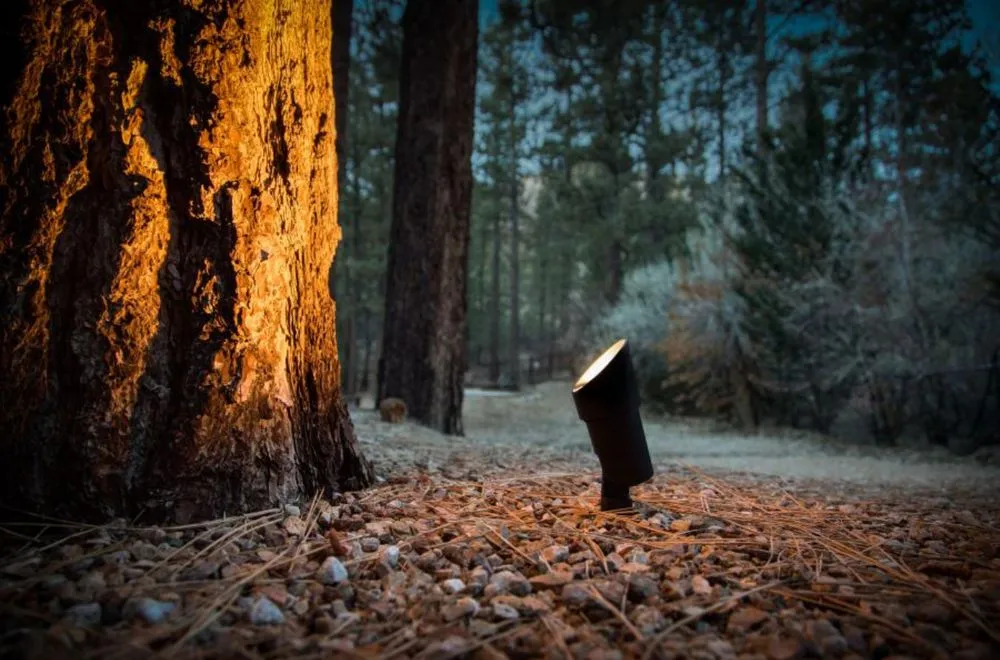 Expert lawn care service near you across Fayetteville, GA - Walt's Landscaping & Lighting