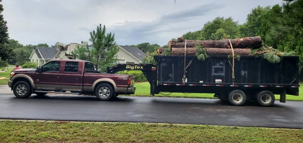 Top-rated lawn care service in Pensacola, FL by Walt's Lawn and Tree Service