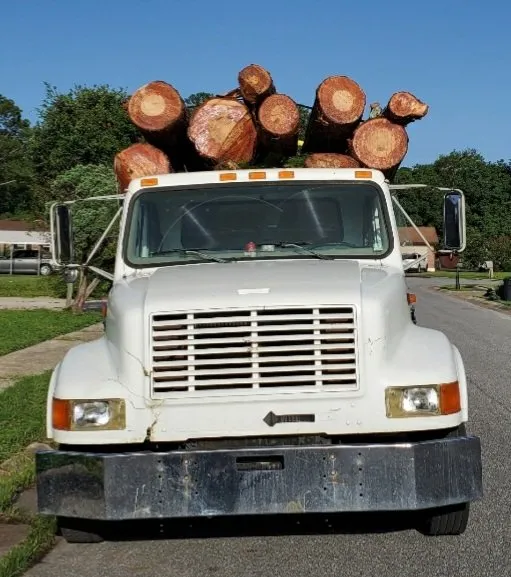 Top-rated landscaping services experts serving Pensacola, FL - Walt's Lawn and Tree Service