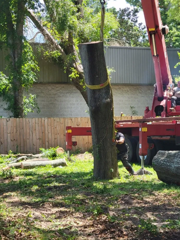 Local garden landscaping for beautiful yards across Pensacola, FL - Walt's Lawn and Tree Service
