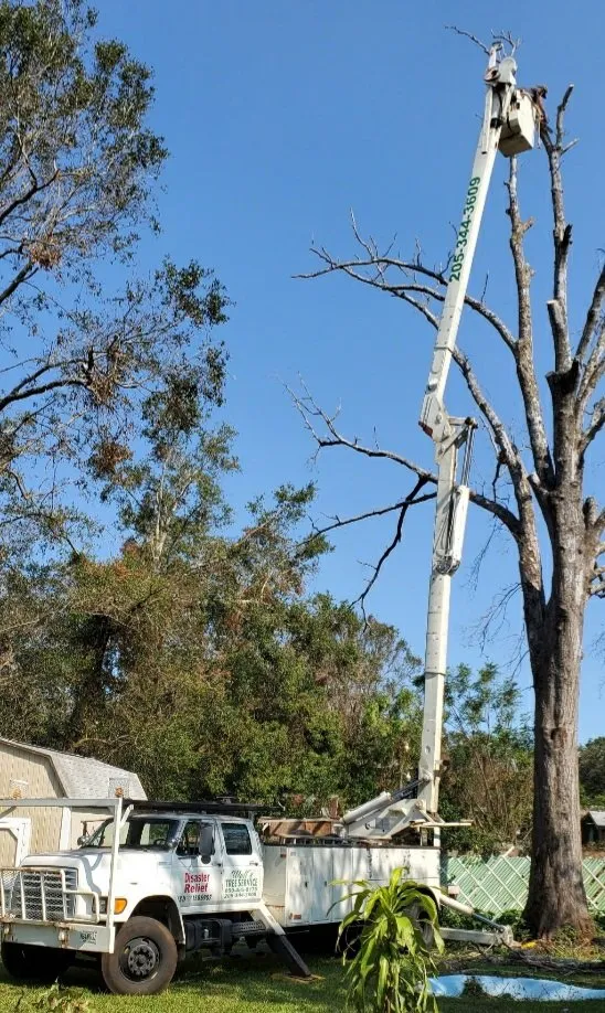 Local landscape installation for year-round maintenance across Pensacola, FL - Walt's Lawn and Tree Service