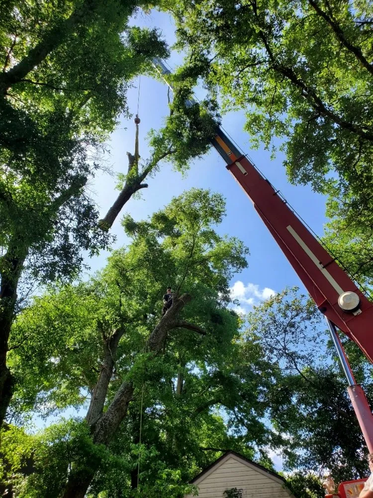 Custom landscape design experts serving Pensacola, FL - Walt's Lawn and Tree Service