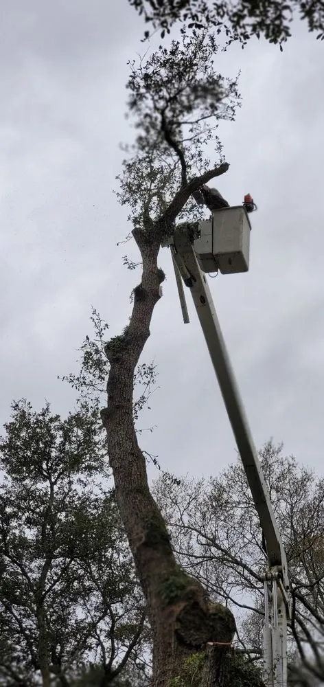 Trusted lawn mowing service near you across Pensacola, FL - Walt's Lawn and Tree Service