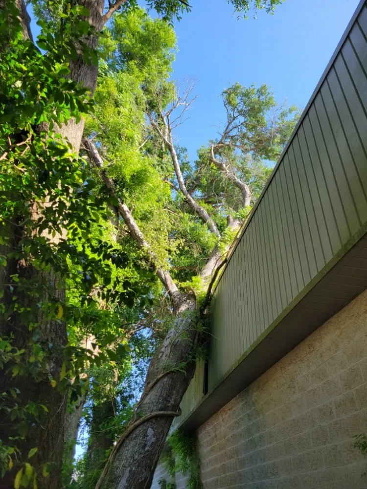 Reliable garden landscaping experts serving Pensacola, FL - Walt's Lawn and Tree Service