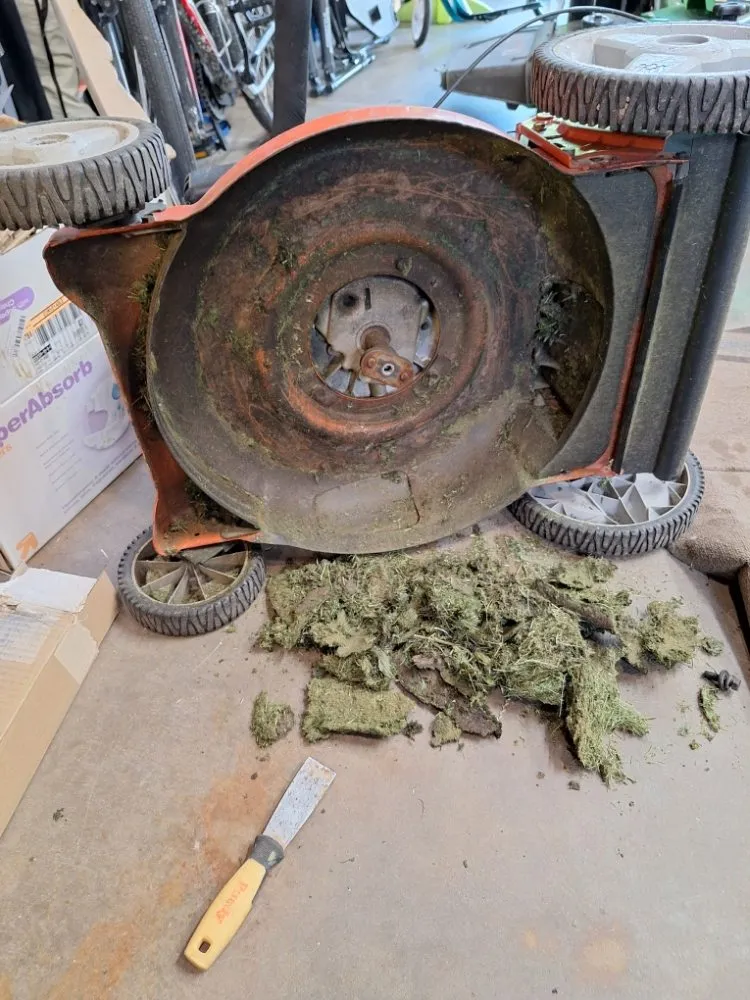 Professional residential landscaping for outdoor upgrades across Cedar Rapids, IA - Walt's Lawn Care & Maintenance