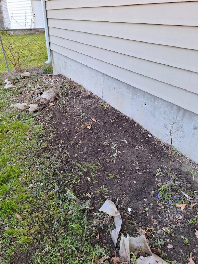 Custom yard cleanup service for homes in Cedar Rapids, IA by Walt's Lawn Care & Maintenance