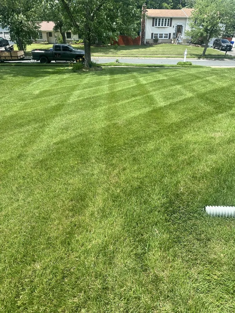 Local outdoor landscaping for beautiful yards across Waldorf, MD - Walt’s Property Services