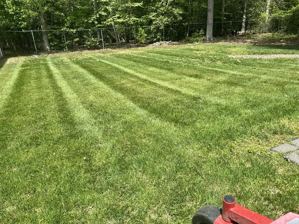 Trusted residential landscaping near you across Waldorf, MD - Walt’s Property Services