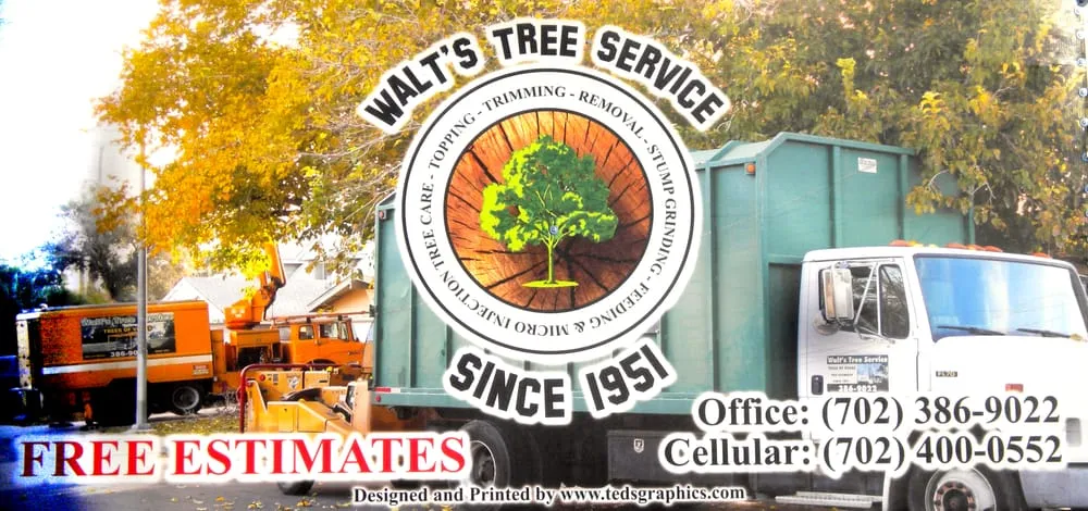 Local yard cleanup service for outdoor upgrades in Las Vegas, NV by Walt's Tree Service