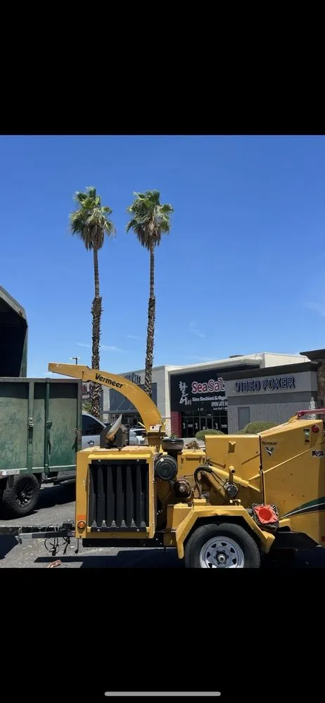 Top-rated garden landscaping for beautiful yards in Las Vegas, NV by Walt's Tree Service