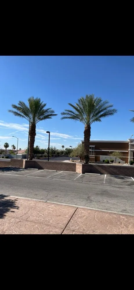 Affordable landscape design in Las Vegas, NV - Walt's Tree Service