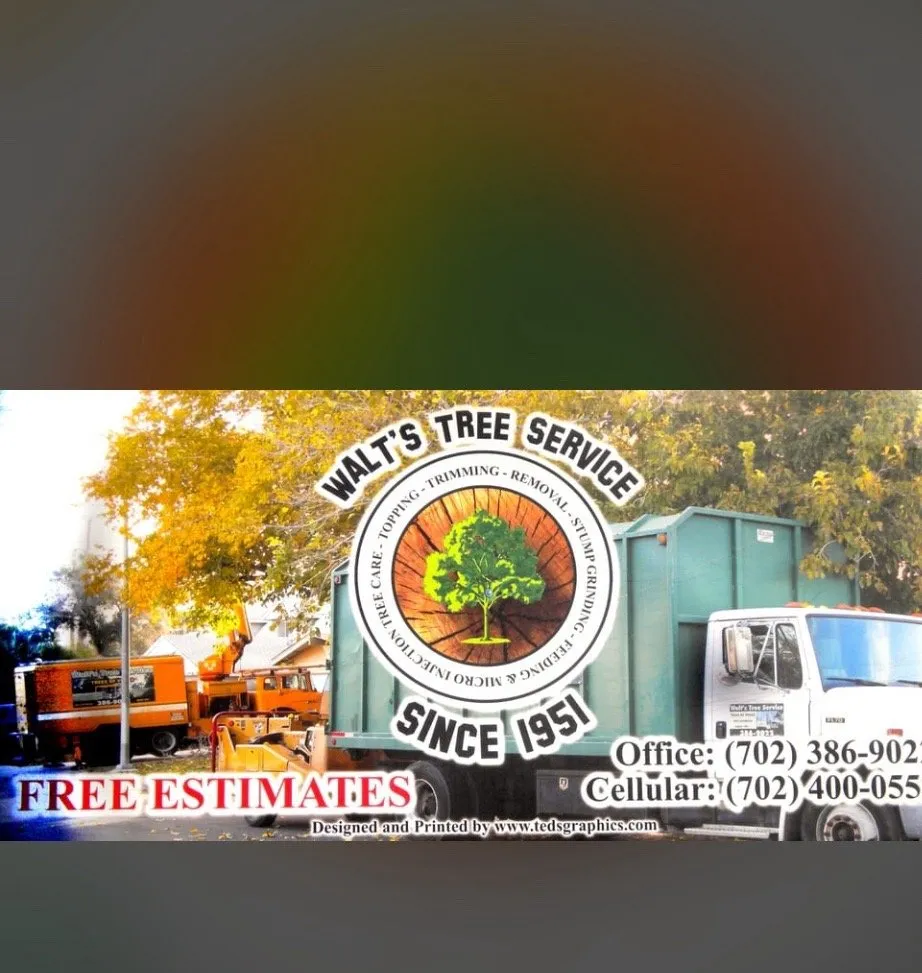 Reliable landscape installation experts serving Las Vegas, NV - Walt's Tree Service