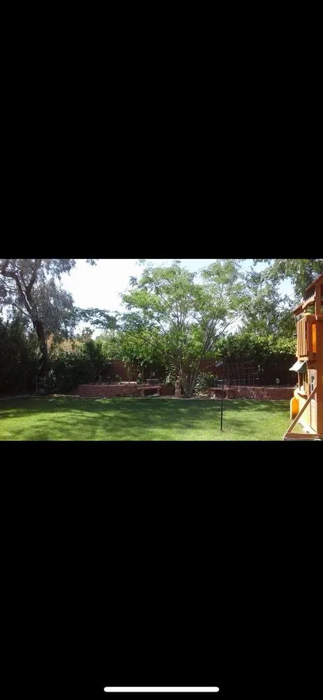 Trusted lawn care service experts serving Las Vegas, NV - Walt's Tree Service