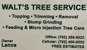 Trusted lawn mowing service in Las Vegas, NV by Walt's Tree Service