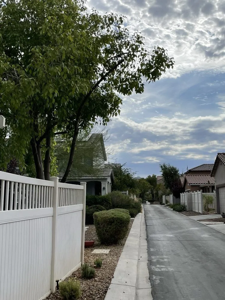 Top-rated landscaping services experts serving Las Vegas, NV - Walt's Tree Service