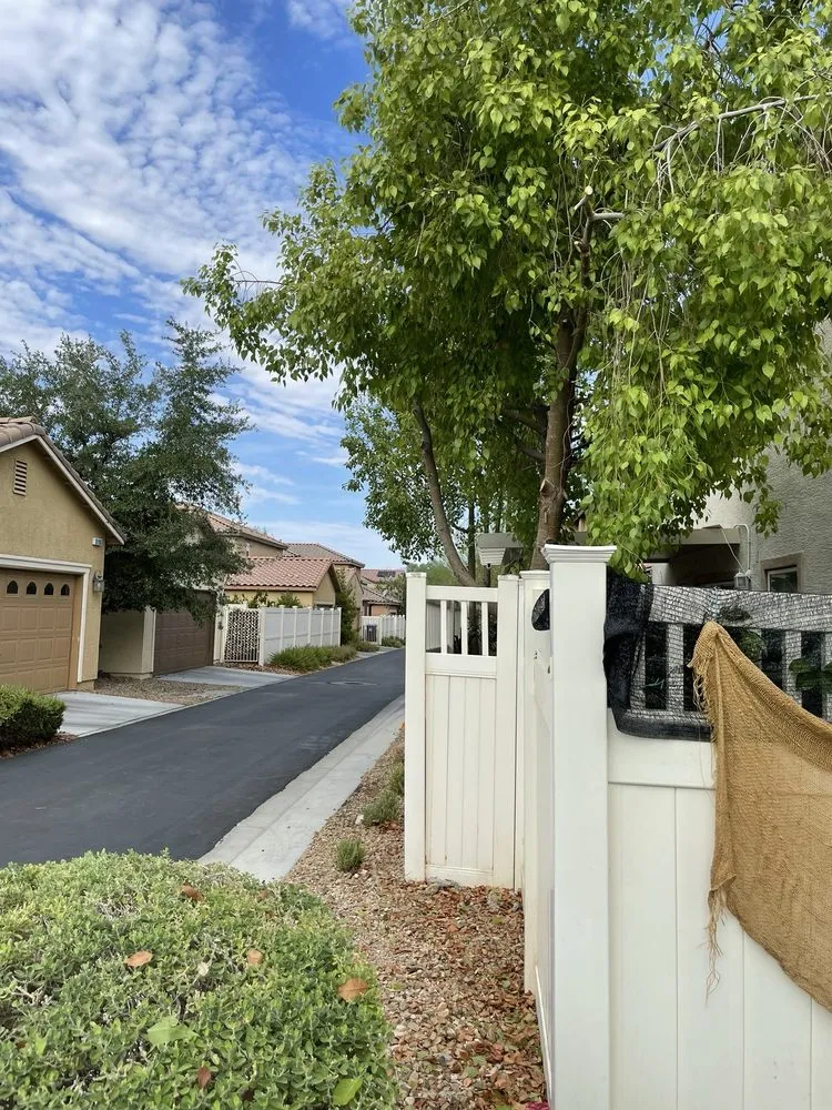 Local residential landscaping in Las Vegas, NV - Walt's Tree Service