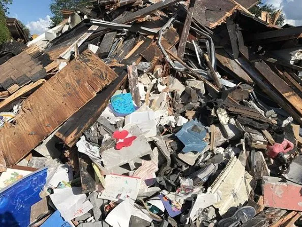 Expert landscape design in Leesburg, FL by Wam Wam Creations