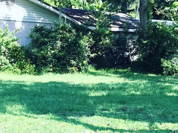 Top-rated yard maintenance experts serving Leesburg, FL - Wam Wam Creations