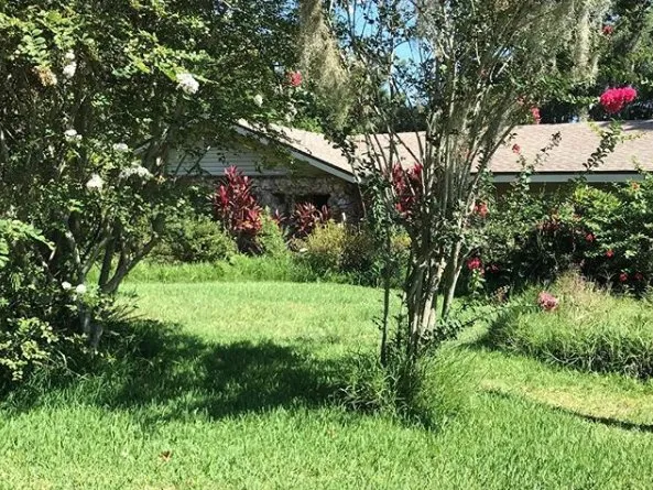 Local lawn mowing service experts serving Leesburg, FL - Wam Wam Creations