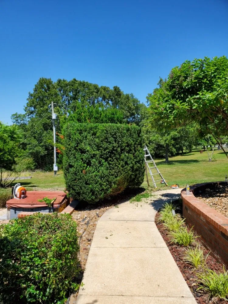 Local landscape design experts serving Saint Robert, MO - WAMC1 Lawn Care and Landscaping