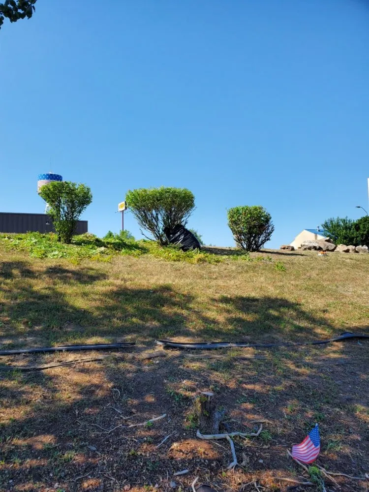 Expert lawn care service in Saint Robert, MO - WAMC1 Lawn Care and Landscaping