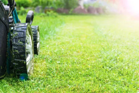 Expert yard maintenance in Kansas City, MO by Wame Lawncare